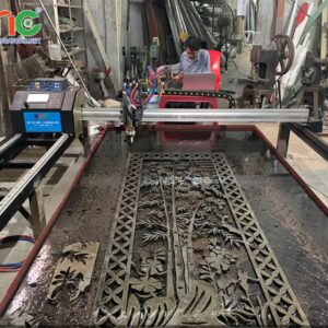 Máy cắt cnc mini 2 ray EMC-1600pro